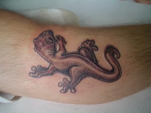 Gecko Tattoo Meaning and Pictures