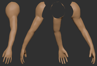 Amanda Zimmer's 3D: Anatomy study - left arm