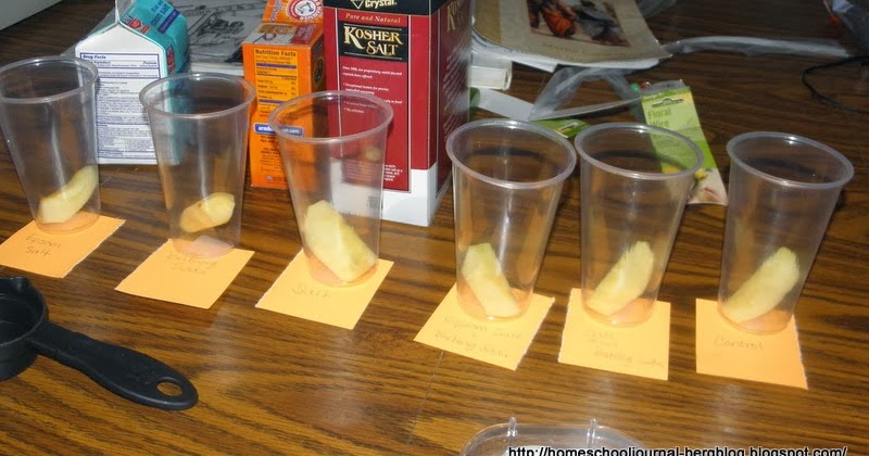 All Things Beautiful: The Difference Between a Science Demonstration