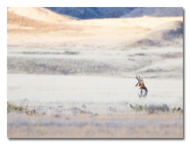 Les espaces vides pour une landing page