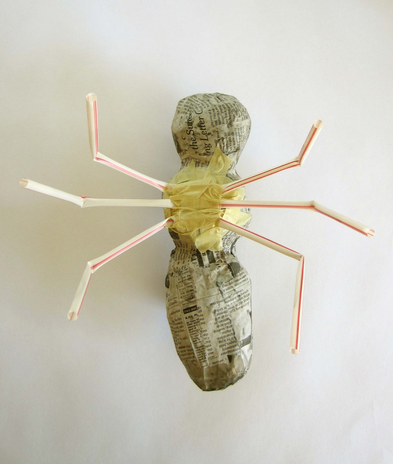 Essay on insects for class 1 image