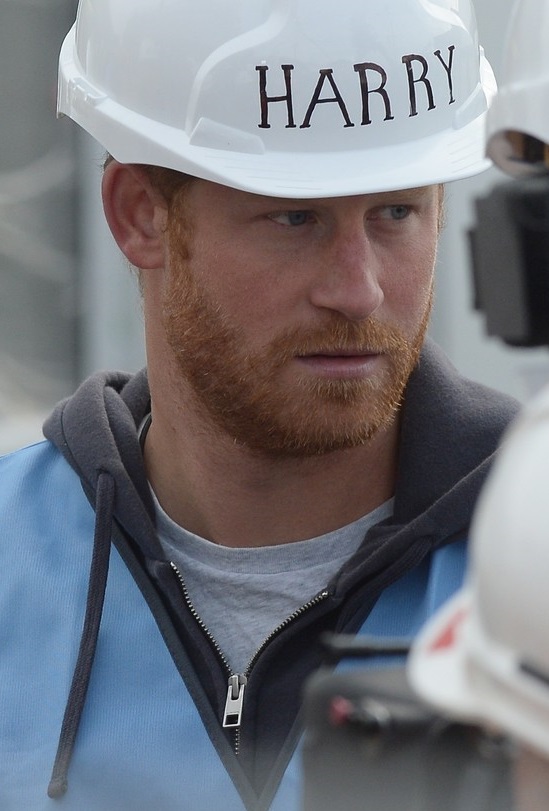 Prince Harry and Prince William Tour a Building Site in