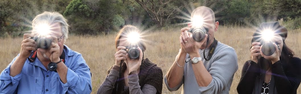 Master Your Camera Photography Courses and Wildlife Photography Workshops