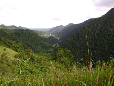 Morowali Nature Reserve, Central Sulawesi | Keprok News Morowali Nature Reserve, Central Sulawesi | Keprok News
