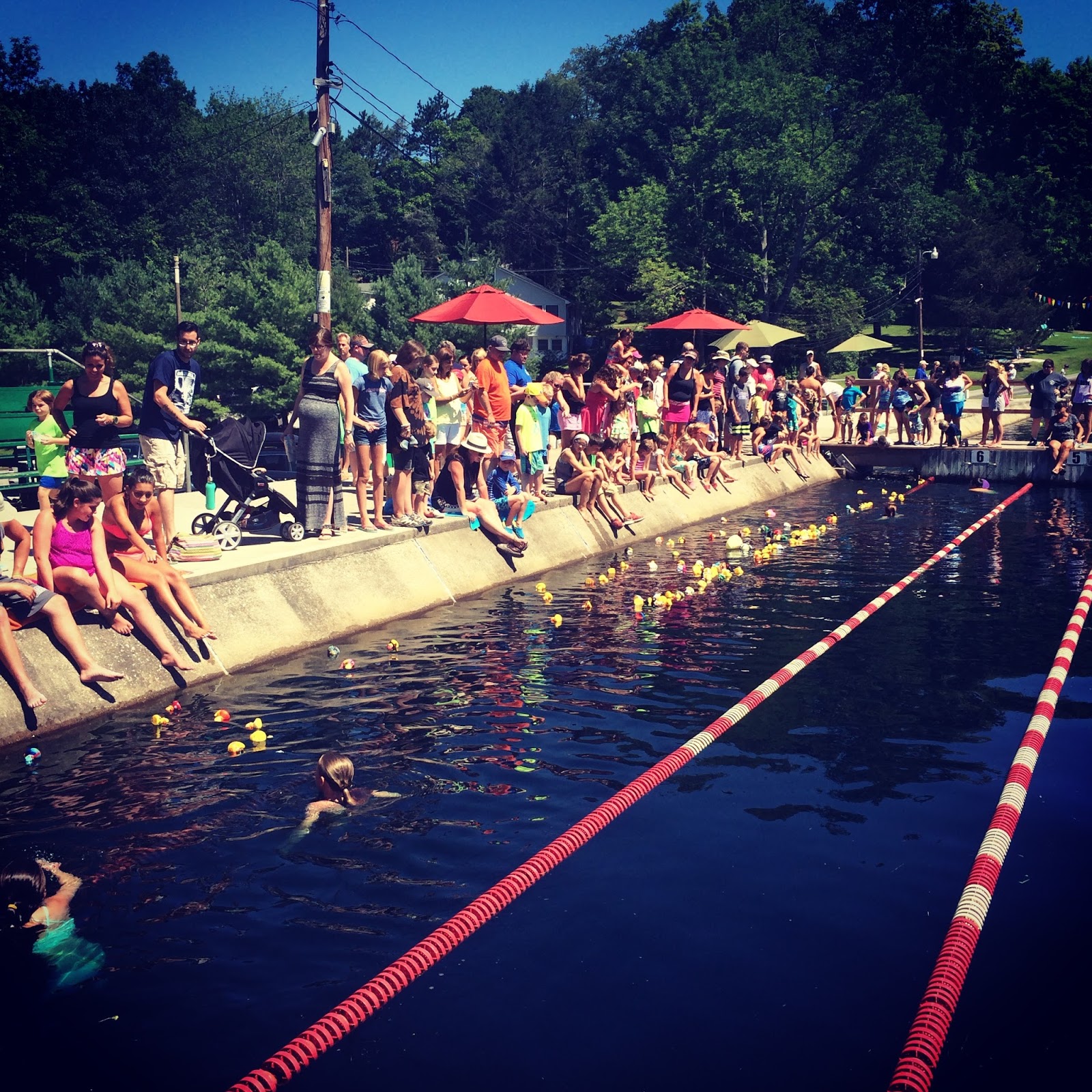 Adventure in the Great Wide Somewhere!