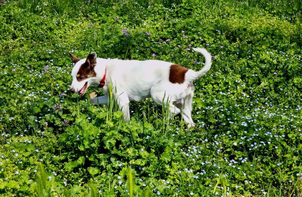 The Free Trees Un Anno Senza Amore Un Anno Senza Te
