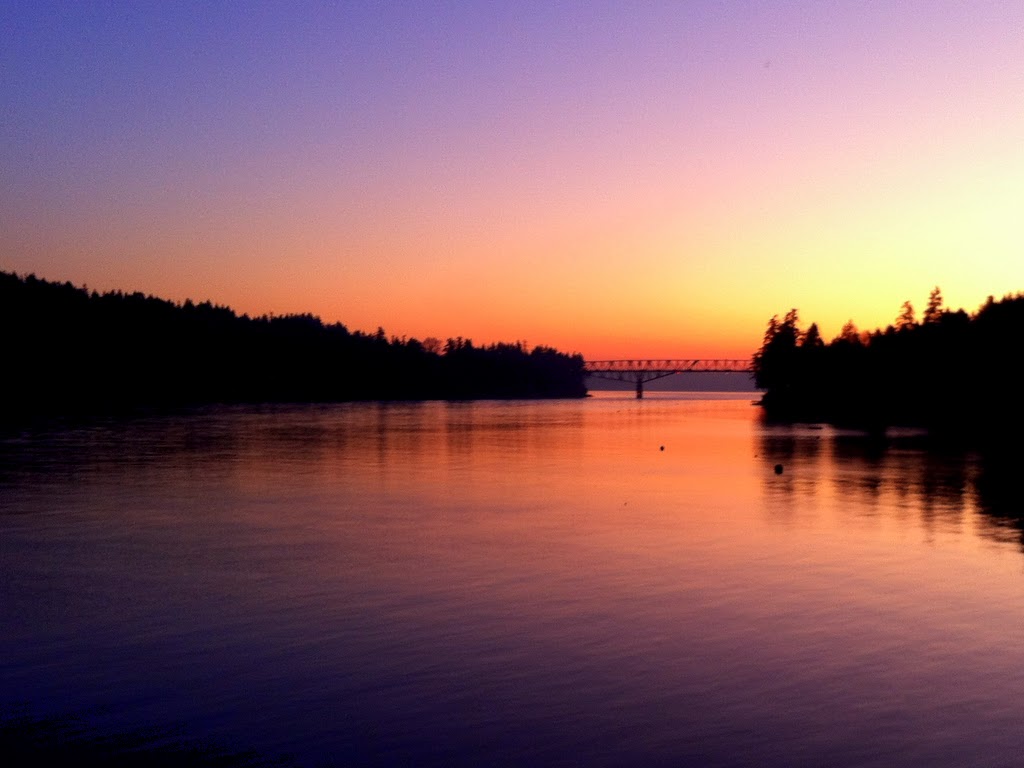 Forever Fishing Washington State Northern Pike Anyone?