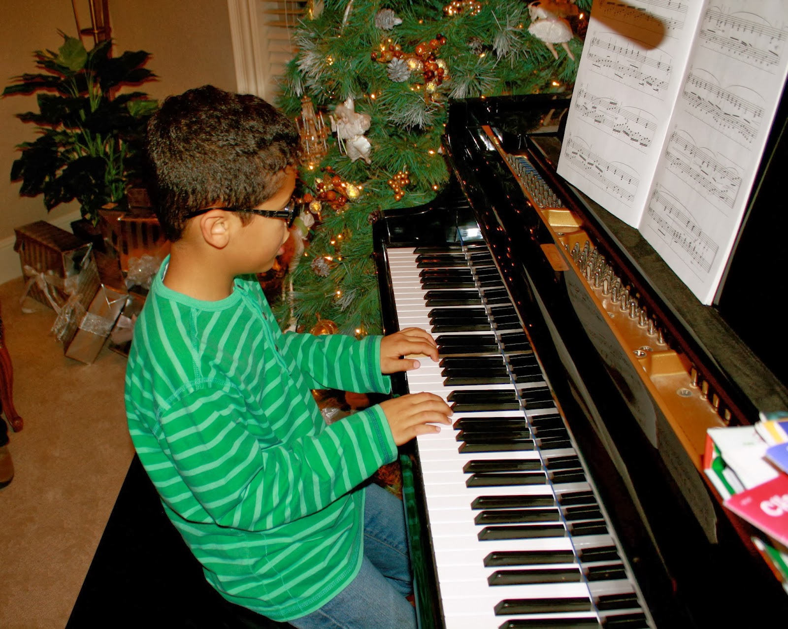 Sierra's View: A Few Christmas Poems