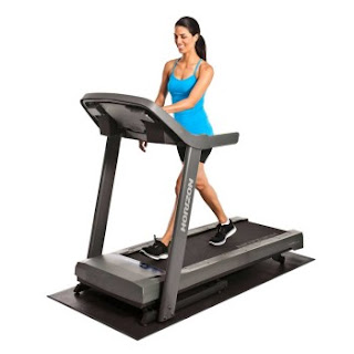 Horizon Fitness T101-04 Treadmill Latest