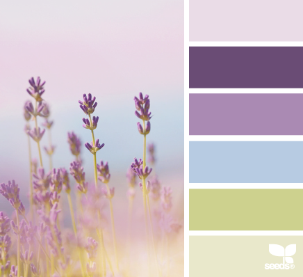Mauve And Burgundy Room Color Scheme Mauve And Burgundy Room Color Scheme