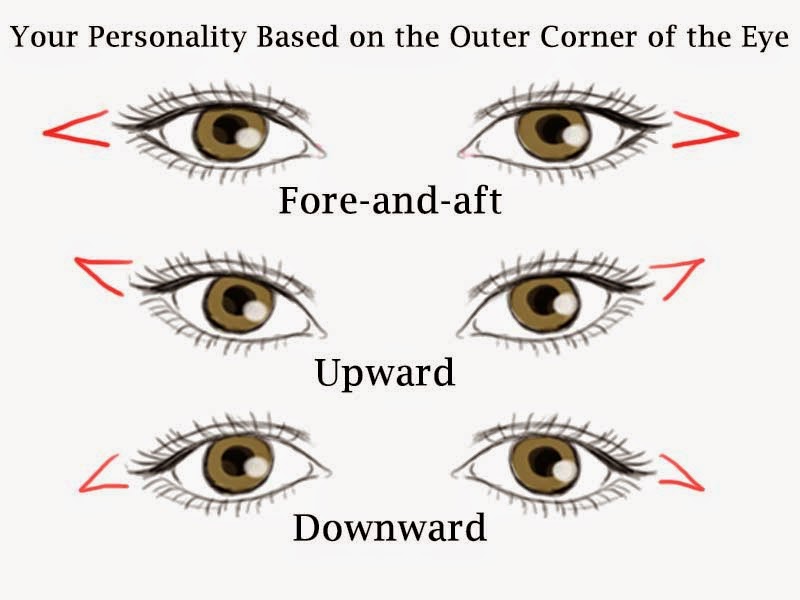 Psychology Test 23 Outer Corner of the Eye FACT, INFORMATION, TRUTH