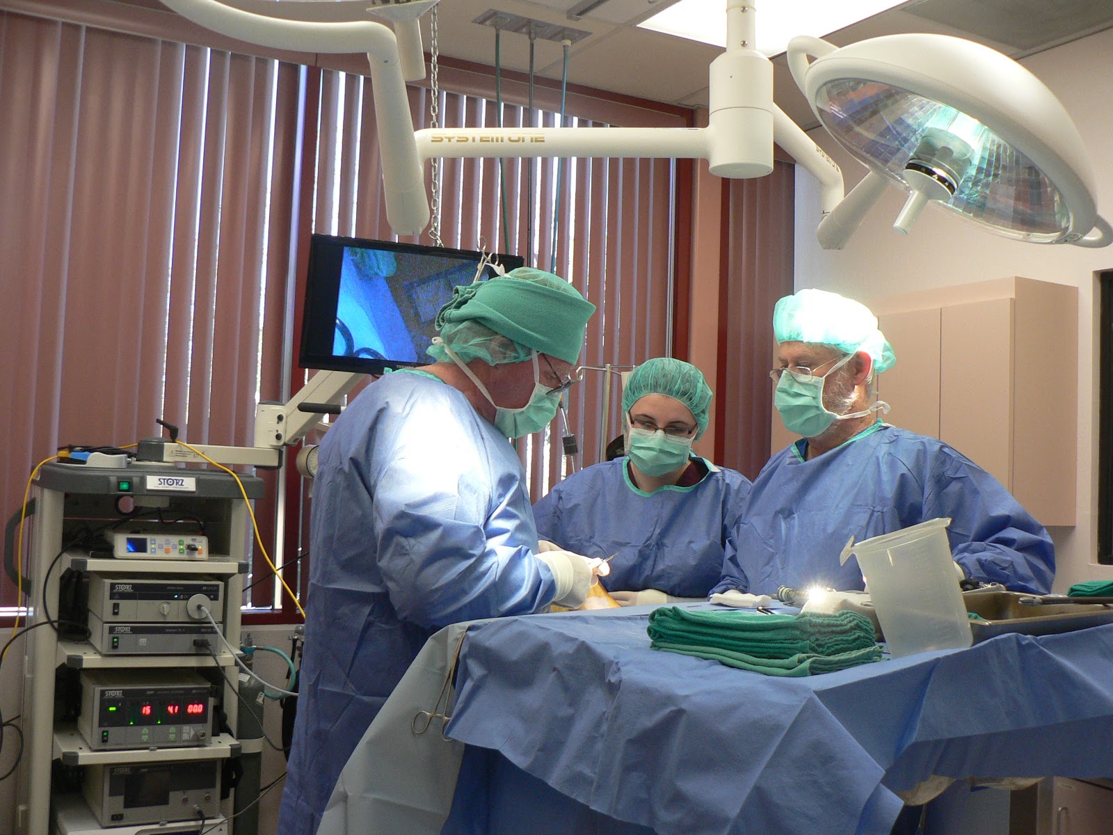 Aragon Greyhounds Laparoscopic spay and gastropexy