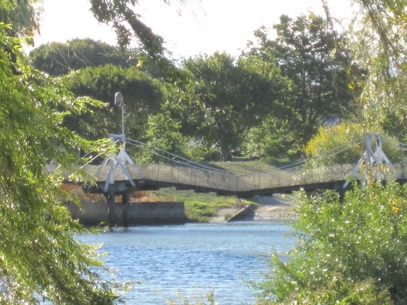 Bridge of the Week New Zealand's Bridges Mandeville Footbridge across