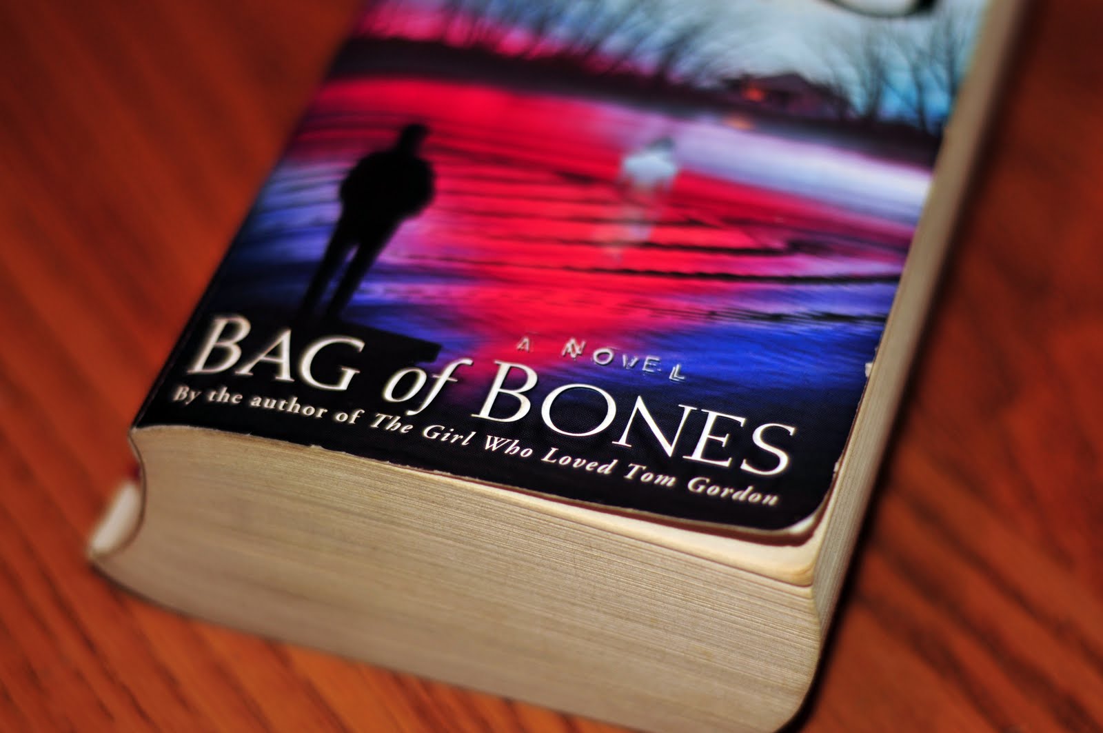 Spoiler's Literature Bag of Bones