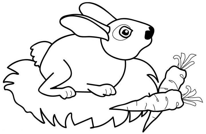 desenhos para colorir coelhos com cenoura desenhos para pintar e
