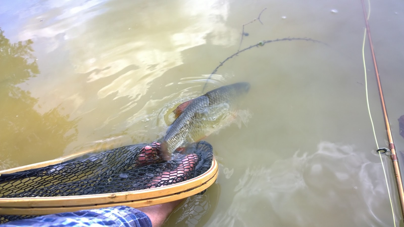 physics of fly fishing curren physics of fly fishing curren