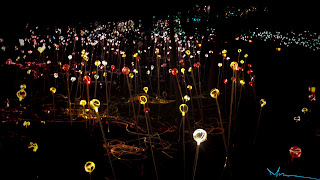 lights at night in longwood gardens