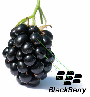 Harga HP Nokia Asha 311 - Spesifikasi dan Harga HP