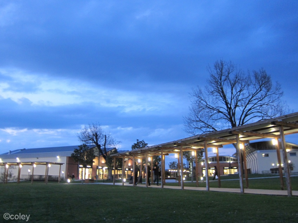 Coley's Just Saying... The Mall in Florence has the best selection of