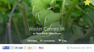 http://www.bubblews.com/news/9477909-winter-comes-in