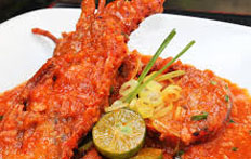 Resep praktis (mudah) lobster saus padang spesial (istimewa) enak, gurih, lezat