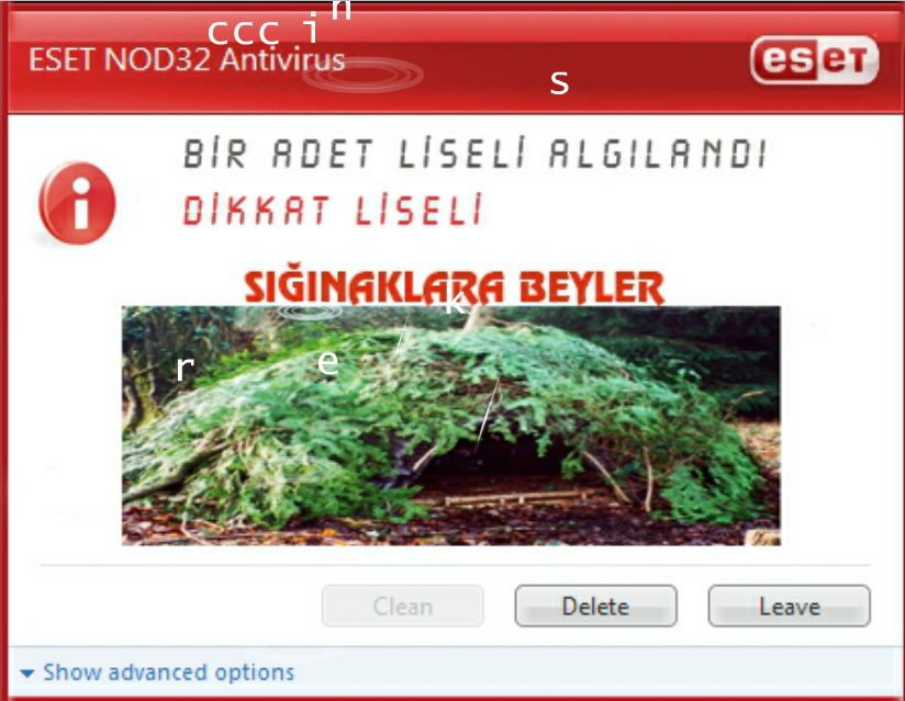 liseli.JPG