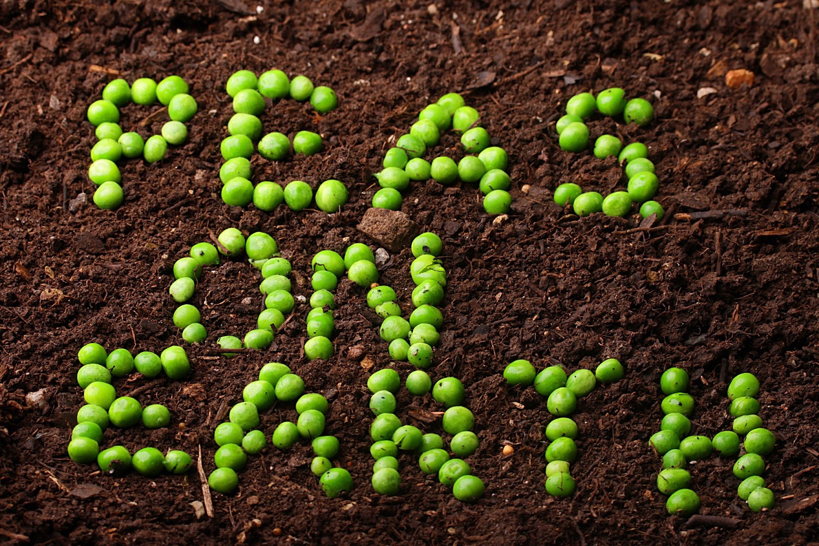 peas on earth