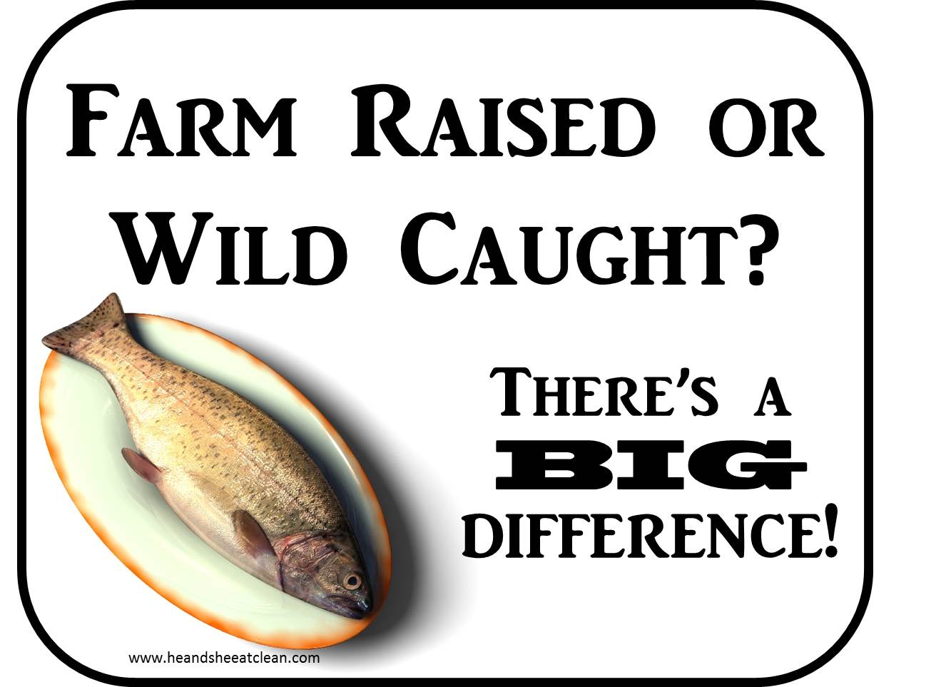Clean Eat Education Farm Raised vs. Wild Caught Fish He and She