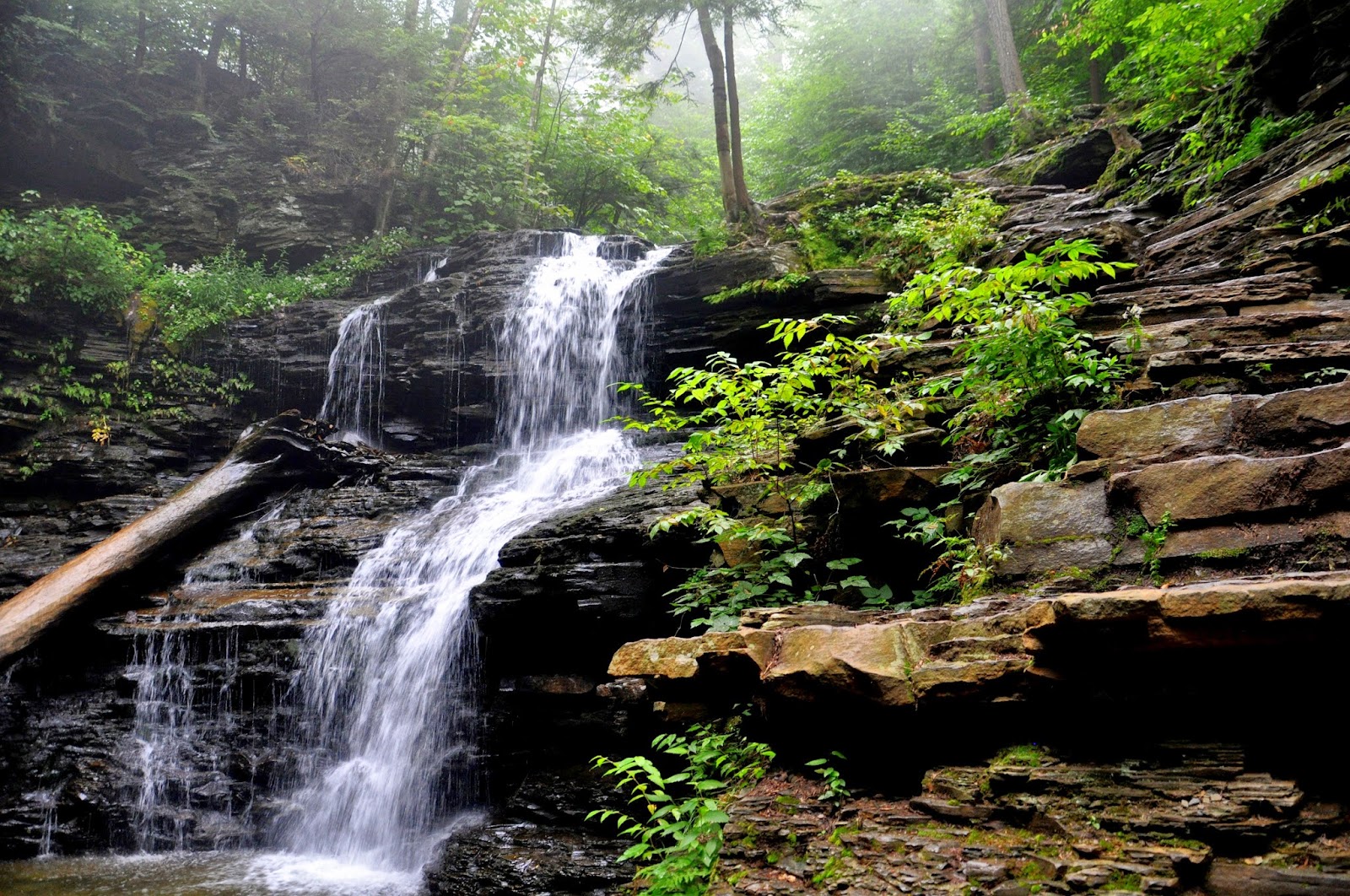 MidAtlantic DayTrips Hiking in Ricketts Glen State Park 3.2 Miles, 18