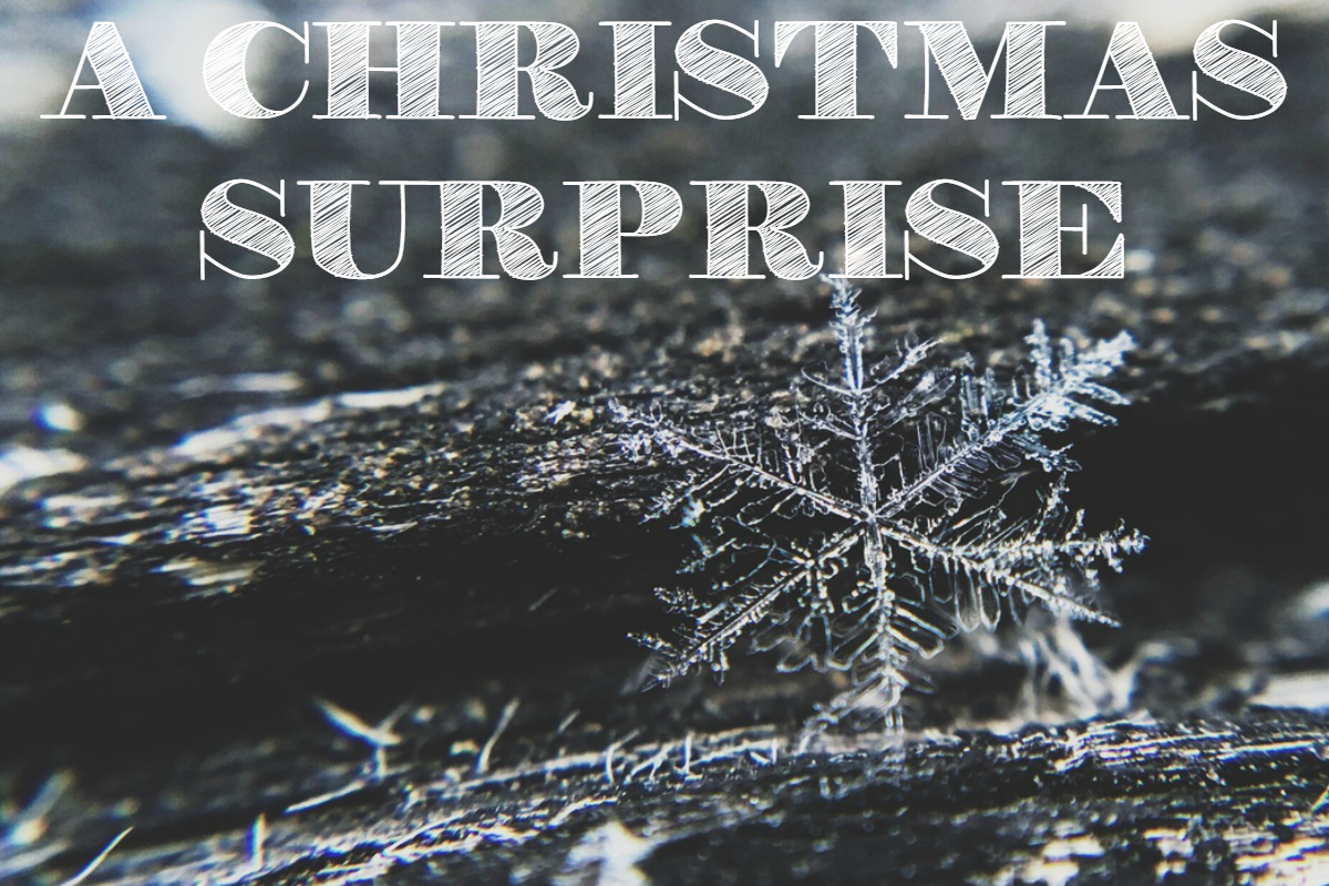 The Bhardwaj Life: A Christmas Surprise