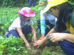 PROGRAMAS INSTITUCIONALES MPPE