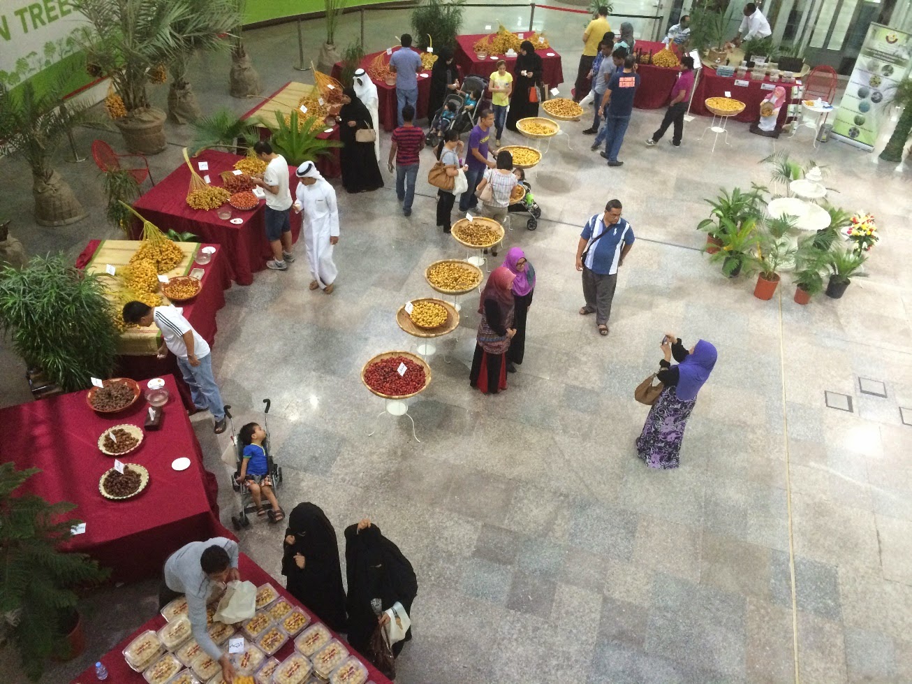 Skeptic in Qatar Eating Dates