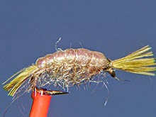 Scud Indonesia Fly Fishing Indonesia Fly Tying
