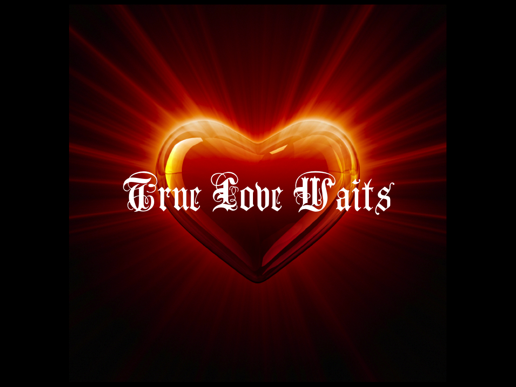 Muhammad Nouman Ali sheroz Awais iqbal Talha Mohsin Riaz: true love never dies true love never ...