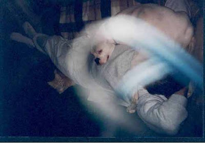Real Ghost Photo: The Vortex