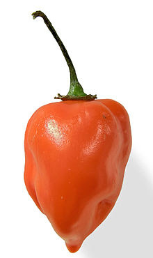 Habanero Chili, Cabe Paling Pedas di Dunia