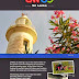 CNNGo Featured on Sri Lanka
