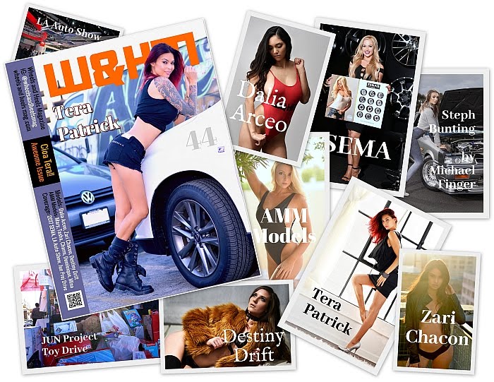 W&HM #44 Tera Patrick