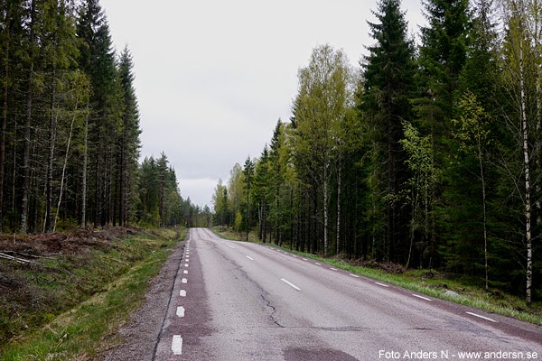 värmland, skog, värmländsk, väg, landsväg värmland, skog, värmländsk, väg, landsväg