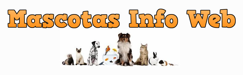Mascotas Info Web