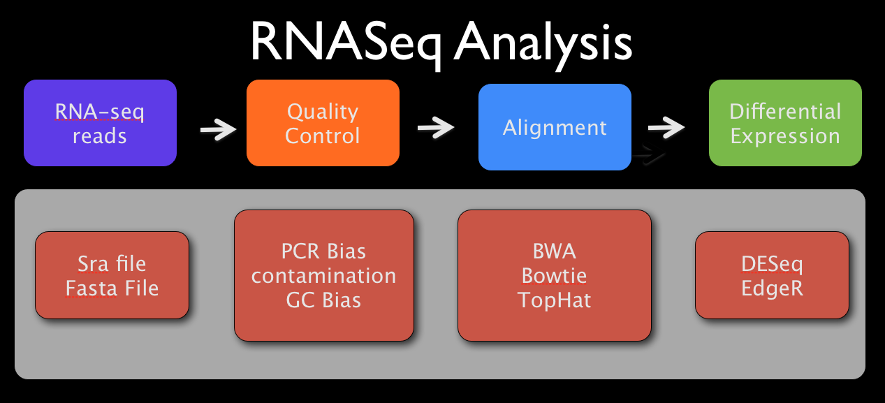 Plants, Systems & Bioinformatics RNASeq Analysis The Basics