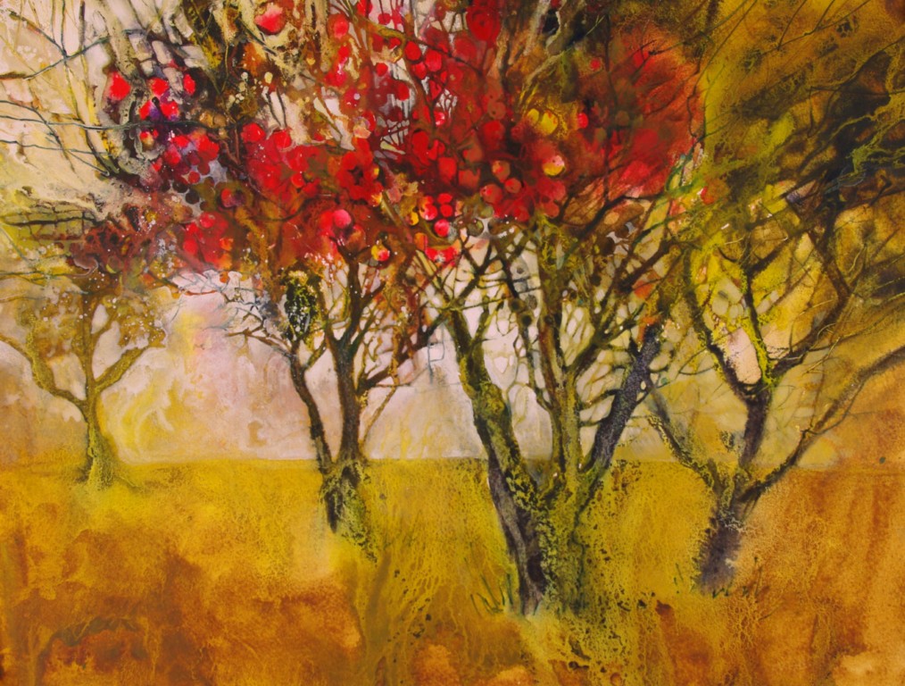 Ann Blockley
