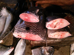 A visit to "Paltan Bazaar Fish Market" in Guwahati.