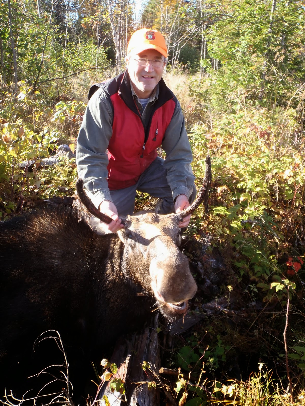 The Maine Outdoorsman September 2015