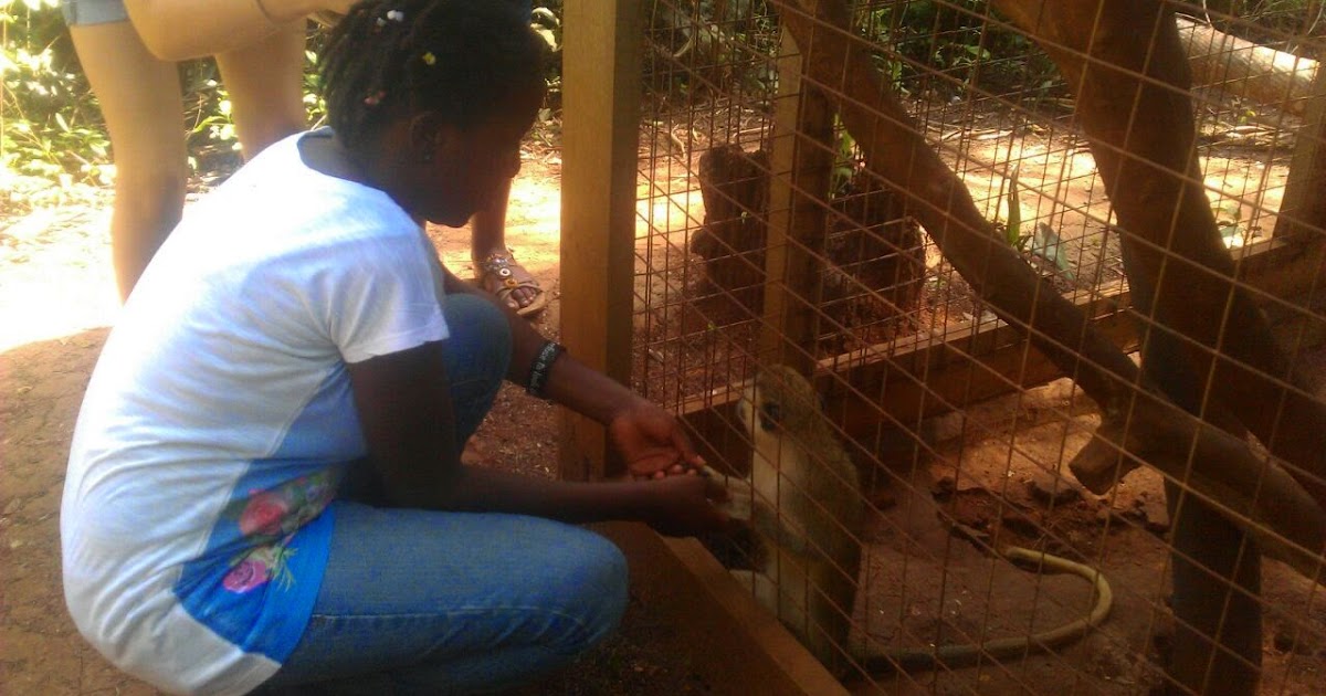 Beacon House Ghana Field trip to Accra zoo