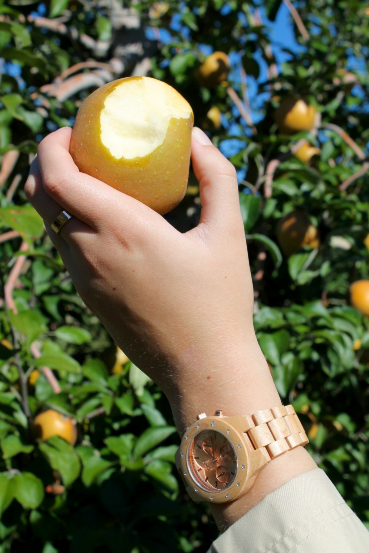 Apple picking outfit- trench coat, Breton and JORD wooden watch