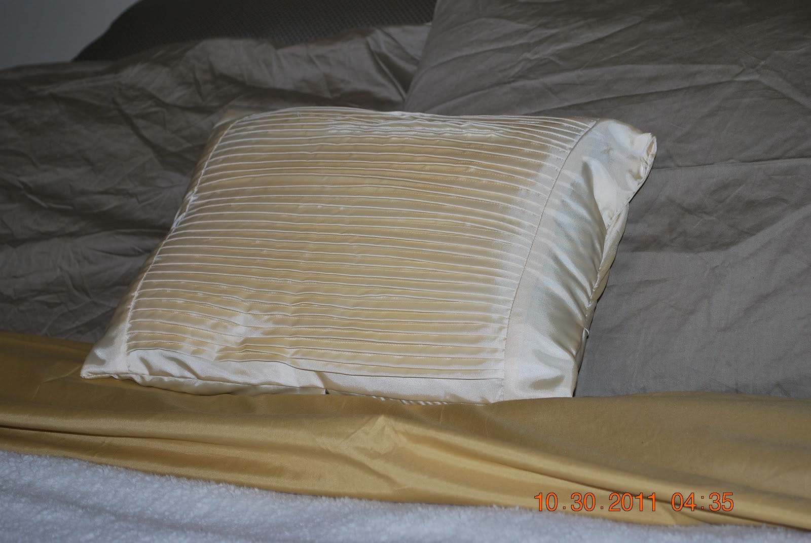 Joy's Jots, Shots & Whatnots Satin Pillow from.