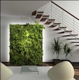 EcoNotas.com: Fabrica tu Jardín Vertical, Decora el Interior de tu