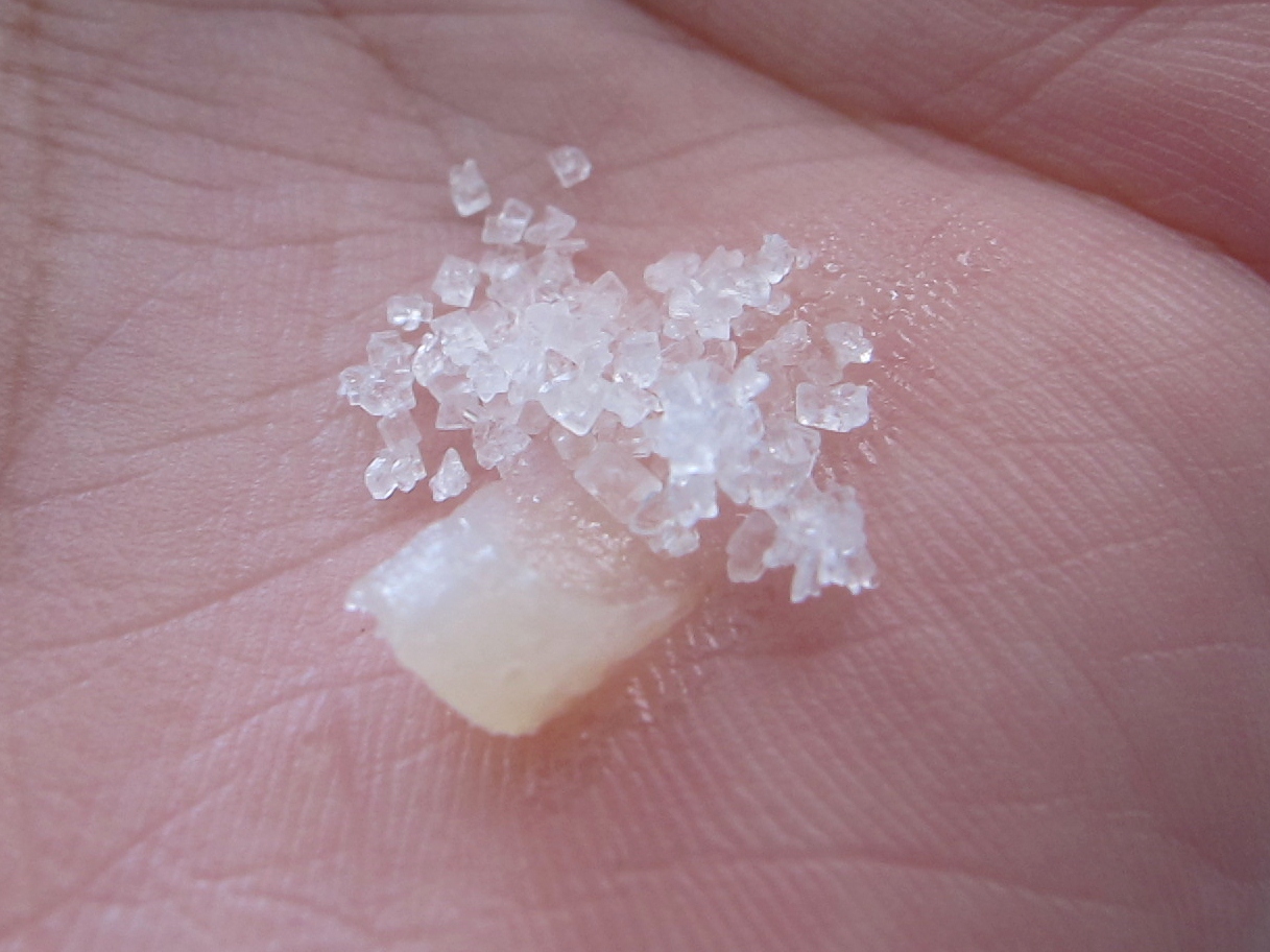 My Makeup Blog makeup, skin care and beyond DIY Lip Scrub with Sugar