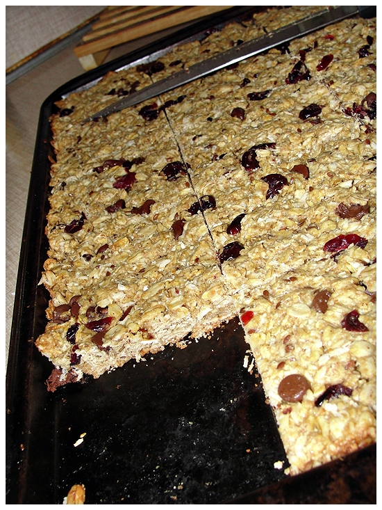 Homemade Oatmeal Bars